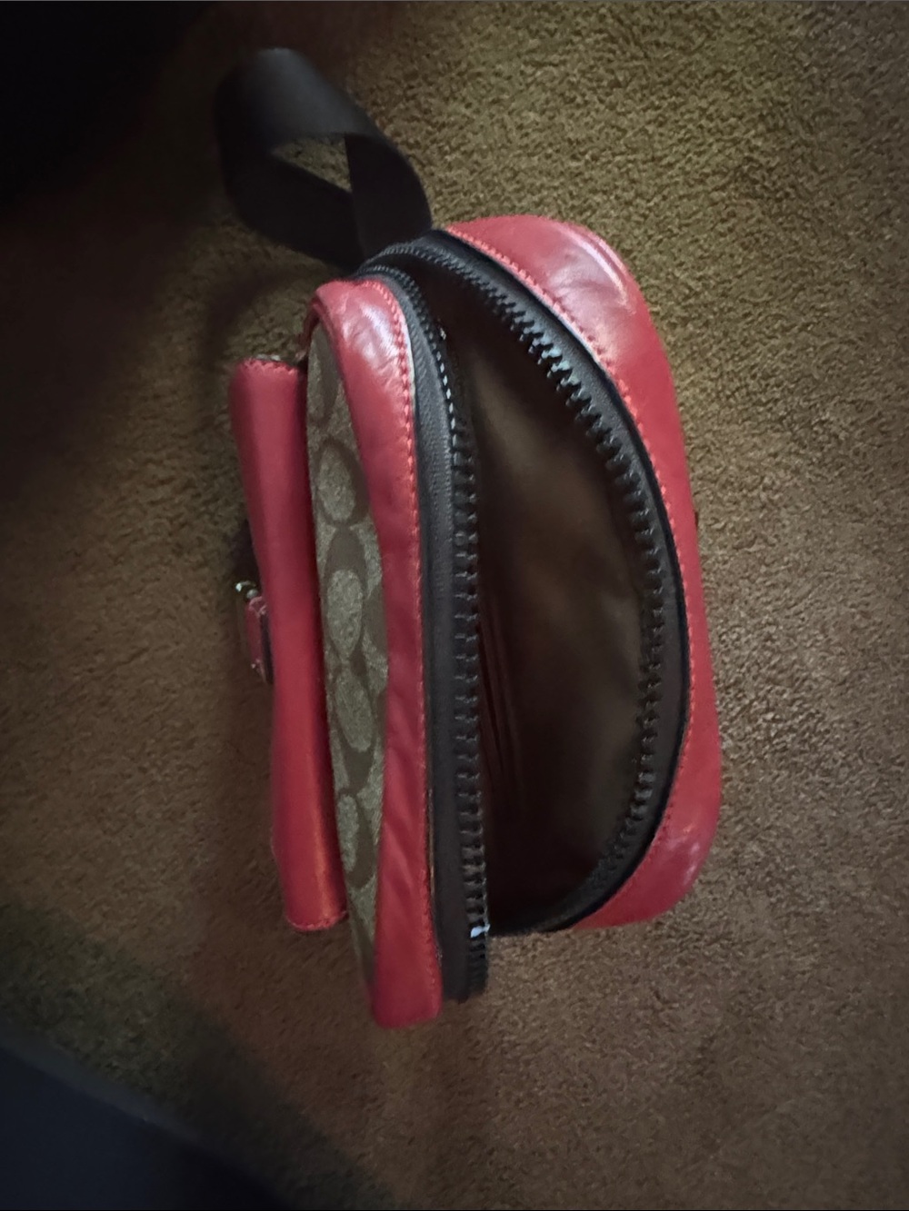 Coach - Picture 6 of 6